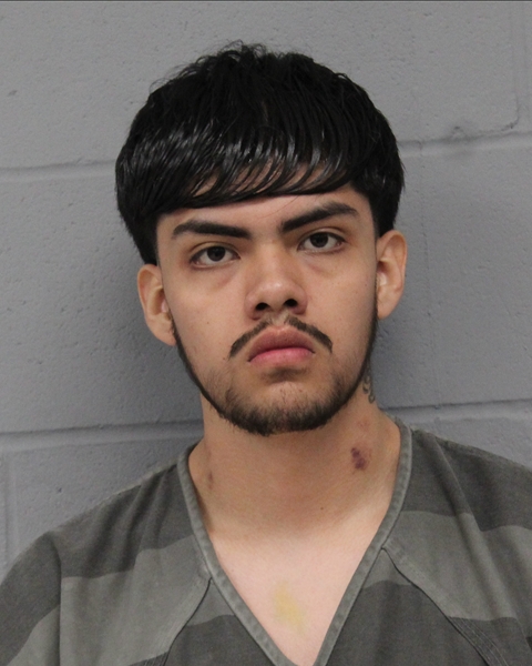 DANIEL ALVARADO booking photo