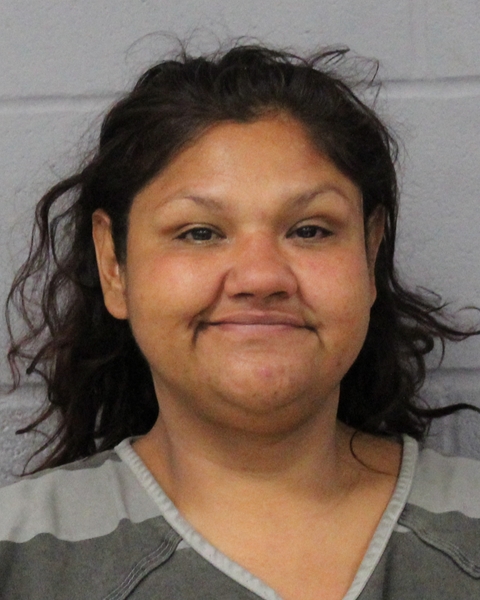 VENESSA SURITA booking photo