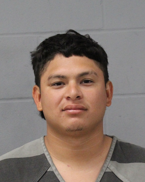 LUIS ENRIQUE booking photo