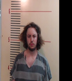 GRIFFITH, WILLIAM HENRY booking photo