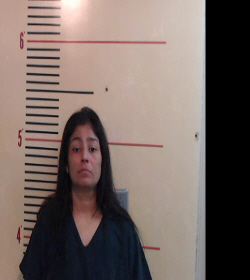 HERNANDEZ, ROSA MARIE booking photo