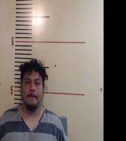 GARZA, ROBERTO LOMAS booking photo