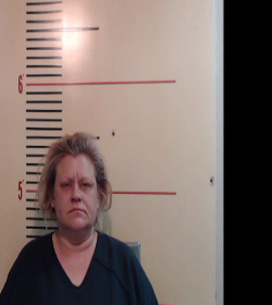 HERRON, LORI MICHELLE booking photo