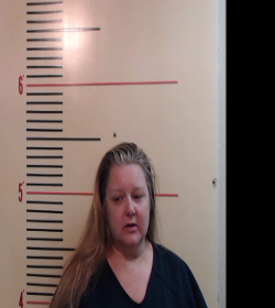 HARVICK, JANET DAWN booking photo