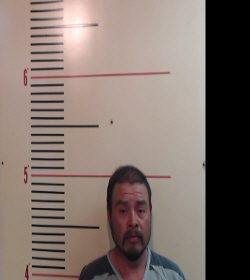 HERNANDEZ, ALBINO PEREZ booking photo