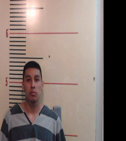 GONZALEZ, MICHAEL ANGEL booking photo