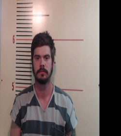 HAYNES, LUKE CHRISTIAN booking photo