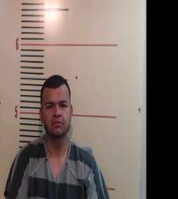 GOMEZ, GUSTAVO booking photo