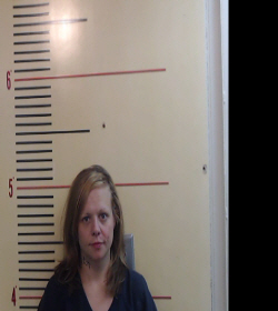 HALL, HOLLY NICOLE booking photo