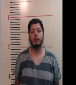 HERRERA, REYMOND GOVEA booking photo