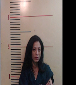 Hernandez, Stephanie booking photo