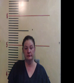 HAMILTON, ALISON LEE booking photo