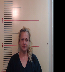 SCHMITT, ASHLIE MICHELLE booking photo