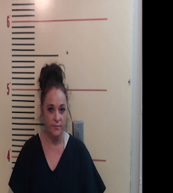 HILTON, ASHLEY NICOLE booking photo