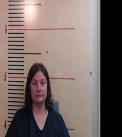 HAMILTON, ALISON LEE booking photo