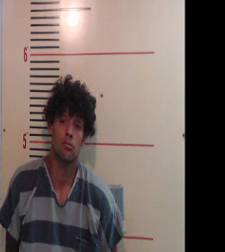 Harper, Cody Lane booking photo