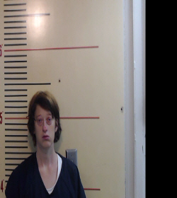 Hamill, Elizabeth Ray booking photo