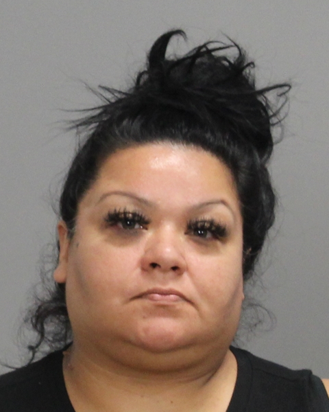 ARREDONDO-ALCANTARA, ANNIE MARIE arrested by Bryan Police Department