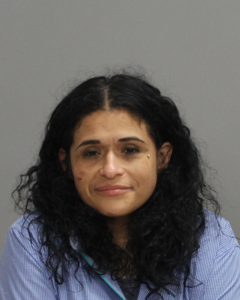 ESTRADA, ELIZABETH arrested by Department of Public Safety