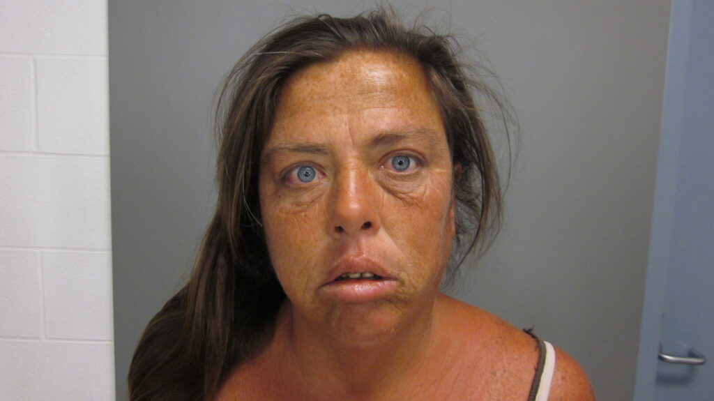 ADAMS, ROBERTA MARIE arrested in Brazos County, Texas mugshot