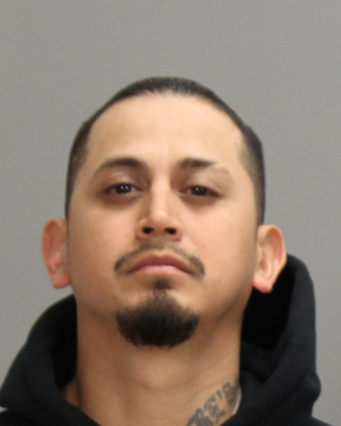 ARENAS, DENNIS MICHAEL booking photo