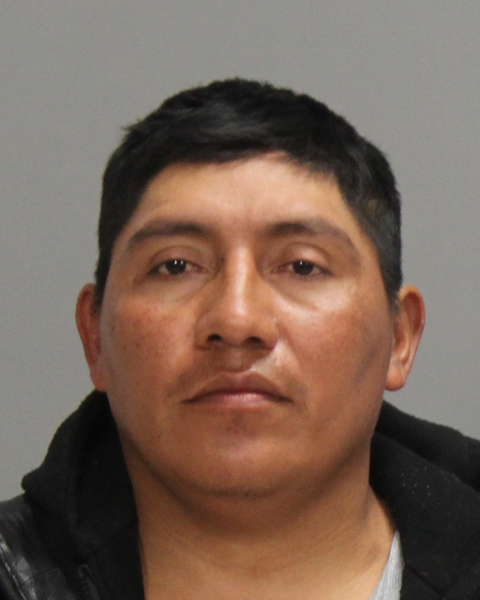 HERNANDEZ-ARGUETA, EDYN NOELI arrested by Bryan Police Department