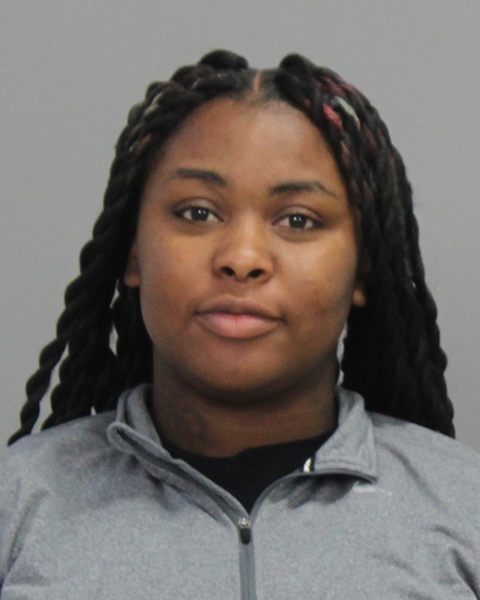 JOHNSON, DEQUAJNA KEYSHUNAE SHEREE arrested by County Sheriff’s Office