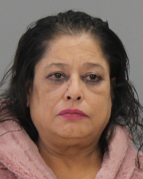 ALVARADO, MARIA DE LOURDES arrested by Bryan Police Department