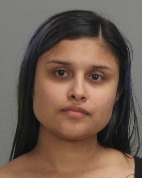 GOMEZ, FILOMENA booking photo