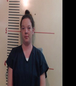 HARDEE, KIRSTIN MICHELE booking photo