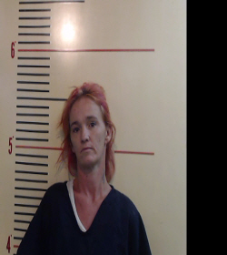 GARMS, KIMBERLY RENEE booking photo
