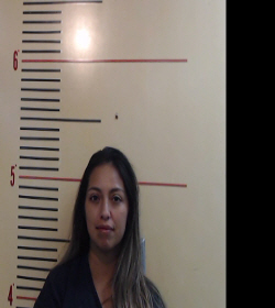 GOMEZ, ERICA CELINNA booking photo