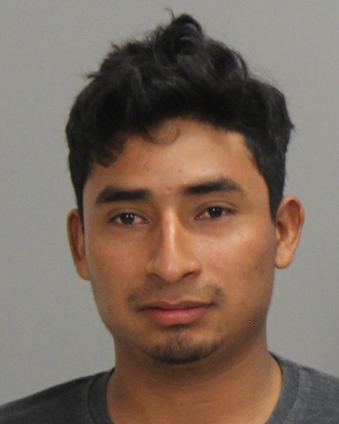 GONZALES, FRANCY arrested by Bryan Police Department