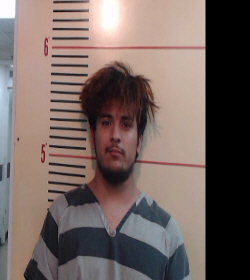 Garcia Chamochumbi, Mark E booking photo