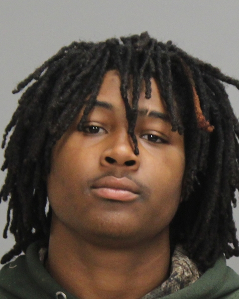 GIBSON, AUDREAS arrested by College Station Police Department