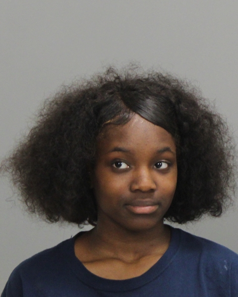 Clark, Paris Danyelle arrested by College Station Police Department