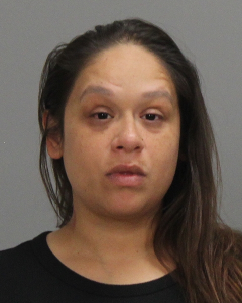 CASTILLO, FELICIA OLGA arrested by Brazos County Sheriff’s Office