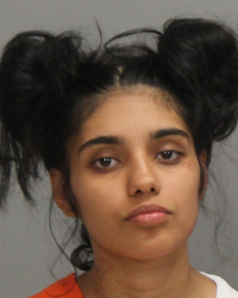 Galindo, Destiny Nicole booking photo
