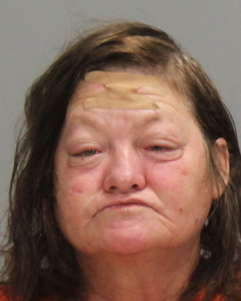 HARPER, LOU ANN arrested by Bryan Police Department