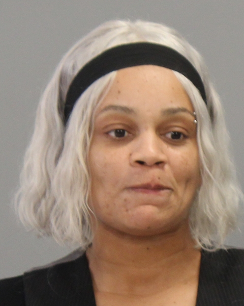 JOHNSON, KORTNEY MARSHAYE arrested by Brazos County Sheriff’s Office