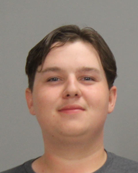 BRANDI, BEAUX ALAN booking photo