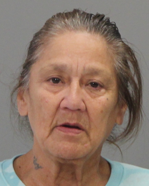 VILLAREAL, DIANA DELON arrested by Brazos County Sheriff’s Office