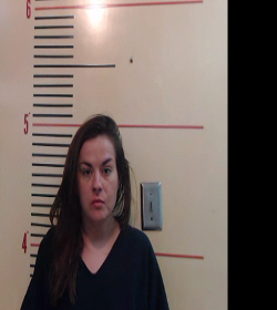 DRAKE-GIBBINS, LESLIE NICOLE booking photo