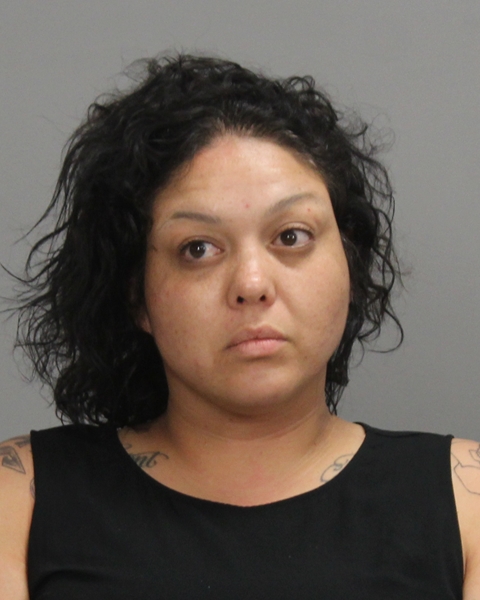 Castillo, Vicenta Mariana arrested by Bryan Police Department