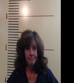 GOMES, RACHELLE RENEE booking photo