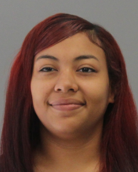 LUNA JOHNSON, CHRISTINA MARIE arrested by Bryan Police Department