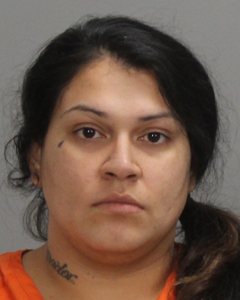 AMADOR, ERICA arrested by Brazos County Sheriff’s Office