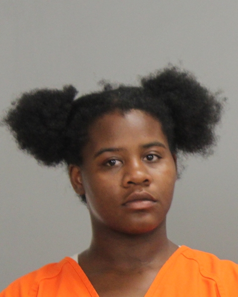 JOHNSON, ANDREIONNA TWINIC arrested by Bryan Police Department