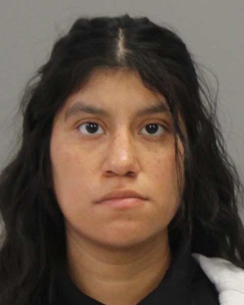 Herrera, Reagan Elizabeth arrested by Bryan City Marshall