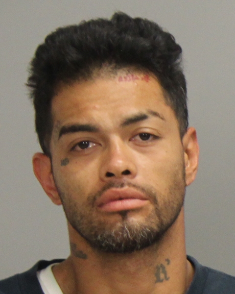GONGORA, THOMAS JAMES, Jr arrested by Brazos County Sheriff’s Office